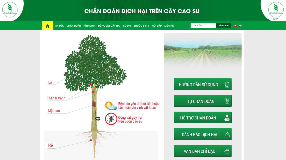 Giao diện trang chủ của trang mạng “Chẩn đoán dịch hại trên cây cao su”